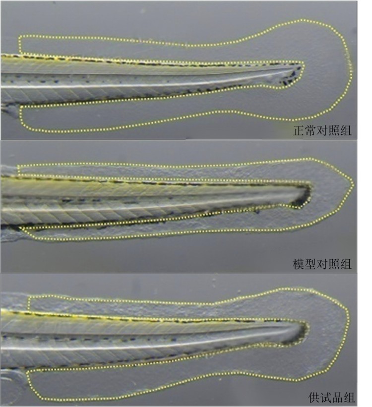 图片 1.jpg