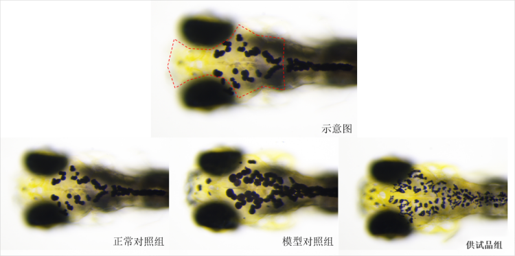 图片 1.png
