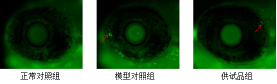 1758707275455970.jpg 1.jpg