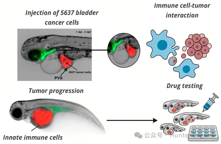 1773886404172399.jpg 5.jpg