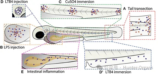 1773886408148116.jpg 4.jpg