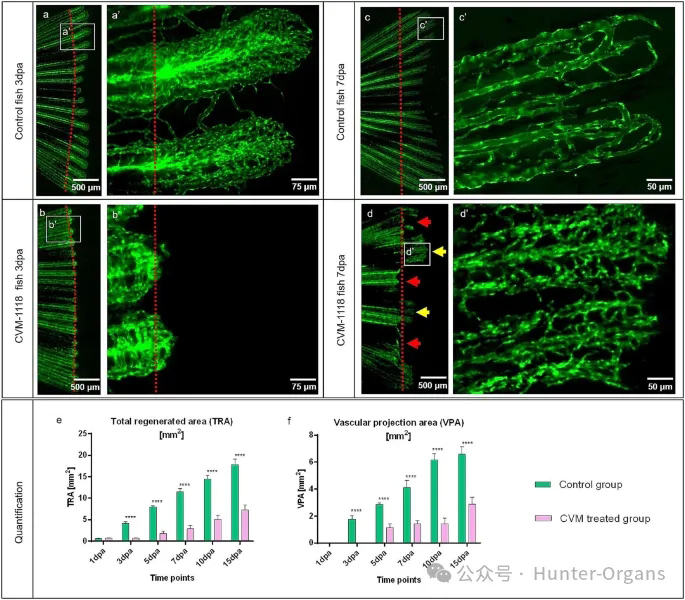1773886411195460.jpg 3.jpg