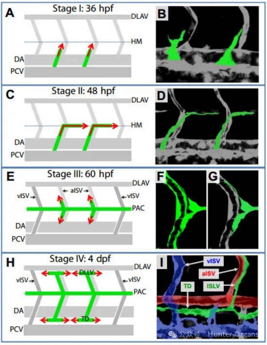 1773886414176518.jpg 2.jpg