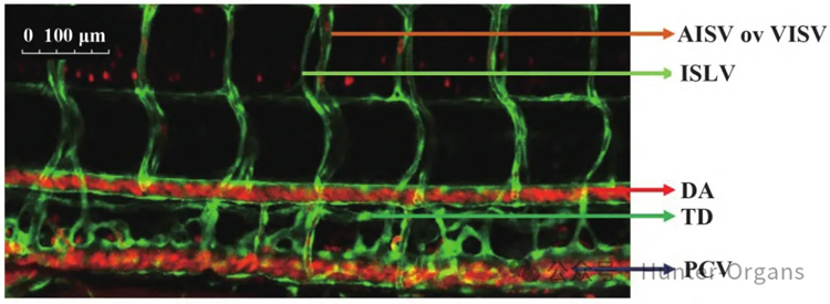 1773886418532217.jpg 1.jpg