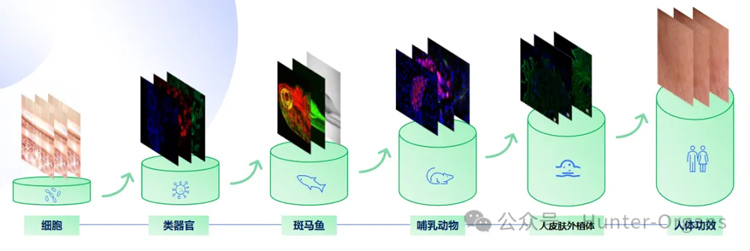 1775787058585022.jpg 1.jpg