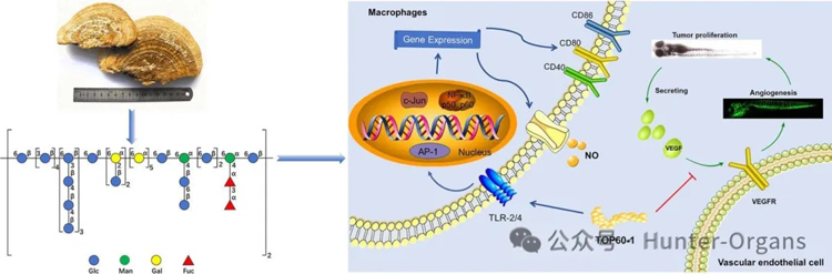 1775787062614951.jpg 2.jpg