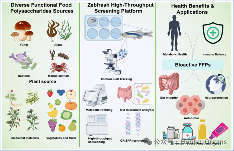 1775787070143527.jpg 4.jpg