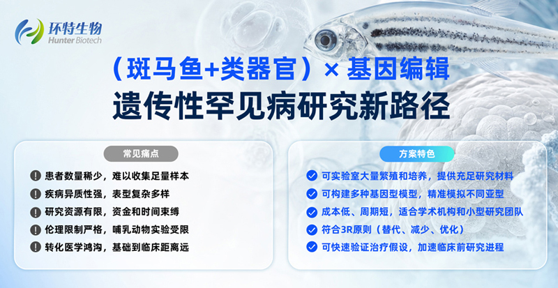 遗传性罕见病研究新路径优势