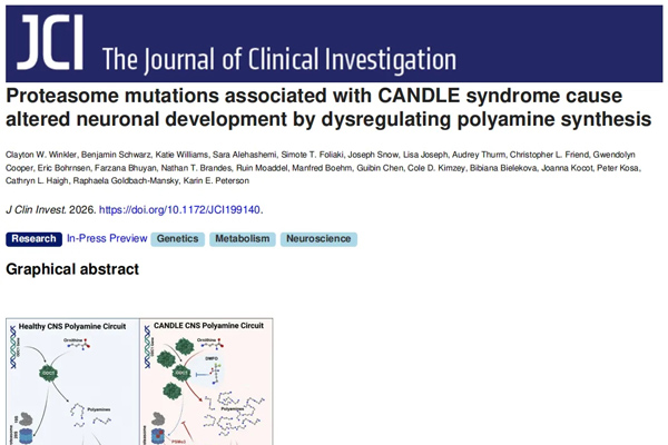 大脑发育受阻？类器官揭开罕见病CANDLE真相